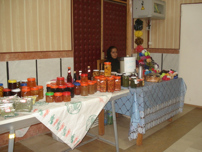 برگزاری همایش روز جهانی ام اس در تاریخ 8 خرداد 1393